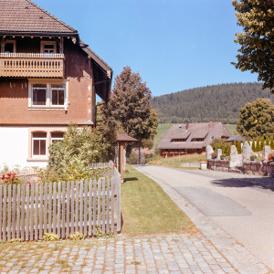 Schollach