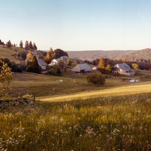 Blasiwald-Althütte